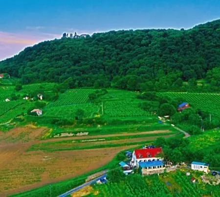 Inhauser Pinceszet&guesthouse&restaurant Guest house *